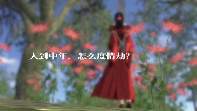 人到中年，怎么度情劫？