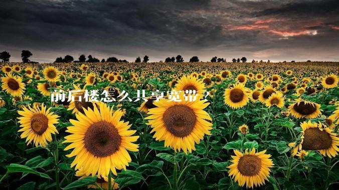 前后楼怎么共享宽带?