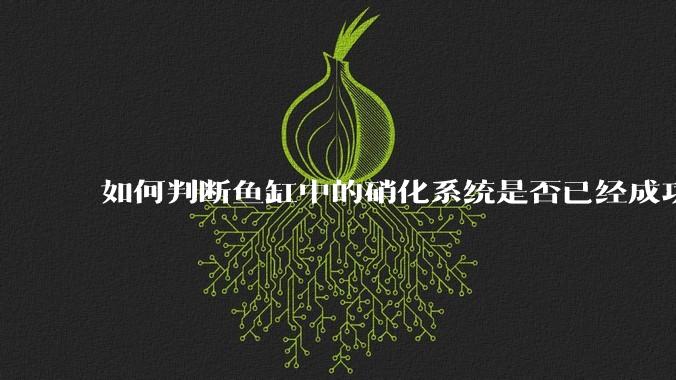 如何判断鱼缸中的硝化系统是否已经成功建立？