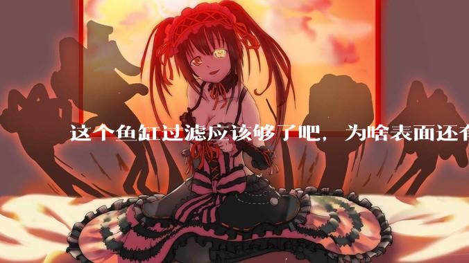 这个鱼缸过滤应该够了吧，为啥表面还有不少泡泡？