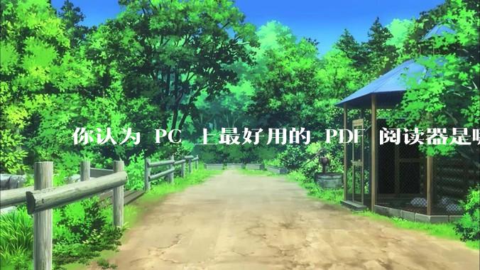 你认为 PC 上最好用的 PDF 阅读器是哪一种？