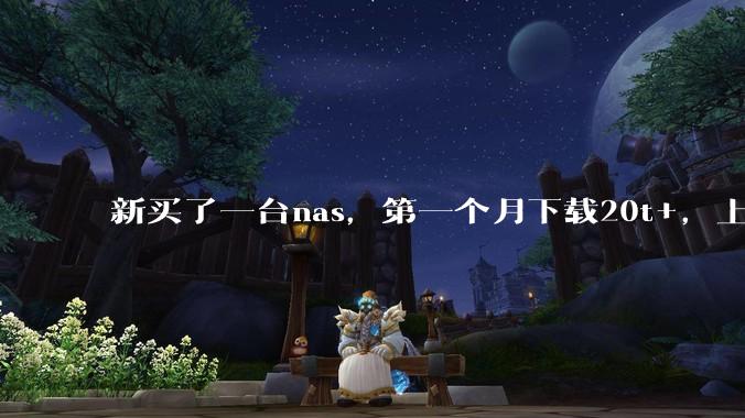 新买了一台nas，第一个月下载20t+，上传5+，不会被网警盯上吧?