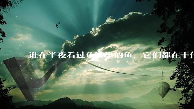 谁在半夜看过鱼缸里的鱼，它们都在干什么？