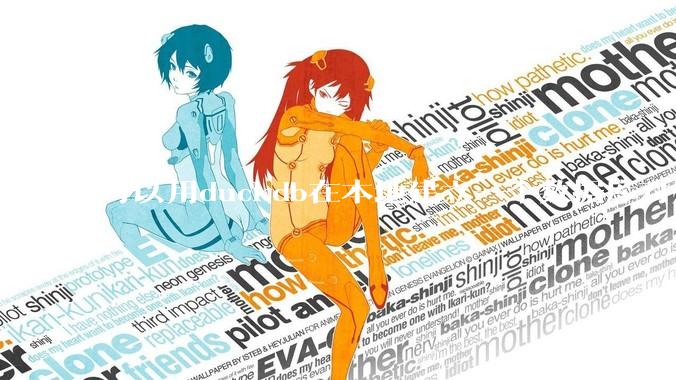 可以用duckdb在本地建立一个数据库对外服务吗？