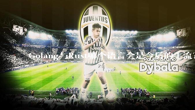 Golang与Rust哪个语言会是今后的主流？