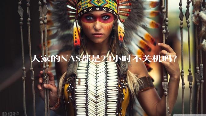 大家的NAS都是24小时不关机吗？