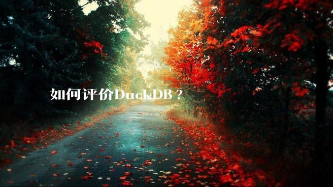 如何评价DuckDB?