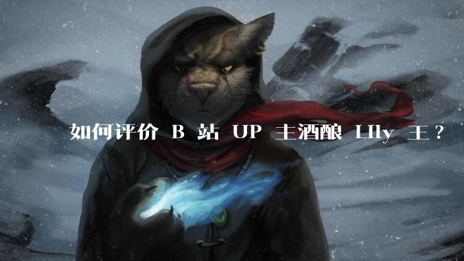 如何评价 B 站 UP 主酒酿 Lily 王?