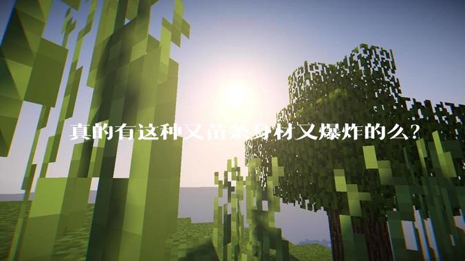 真的有这种又苗条身材又爆炸的么？