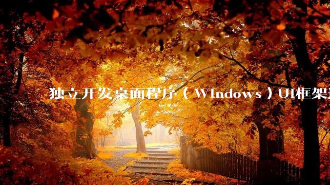 独立开发桌面程序（Windows）UI框架选择哪个更好？