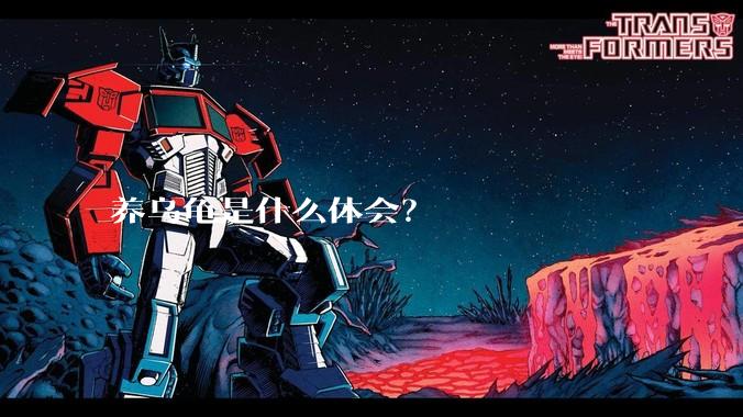 养乌龟是什么体会？