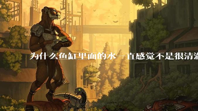 为什么鱼缸里面的水一直感觉不是很清澈呢？