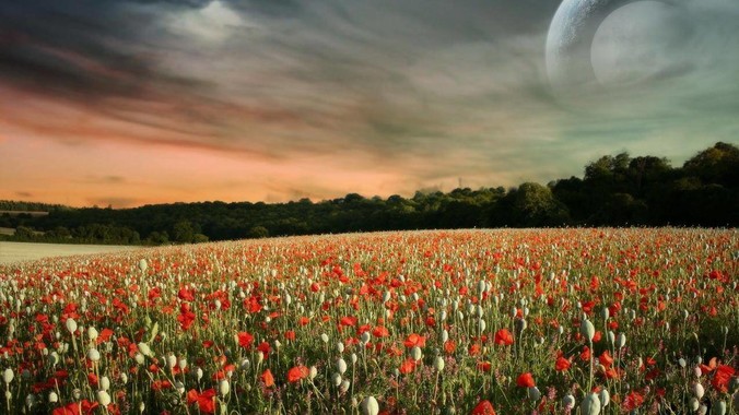 《诛仙》作者萧鼎于近日修改《诛仙》原作并大量删去碧瑶戏份,如何看待这一行为?